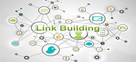 diversified link building strategy